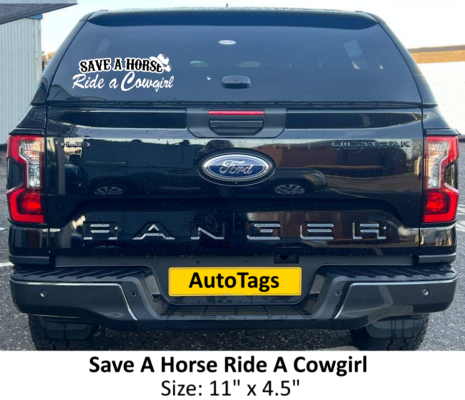 SAVE A HORSE